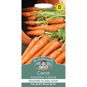 Carrot Amsterdam 3 (Sprint) Seeds